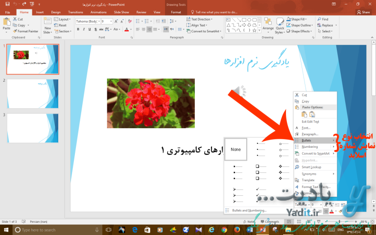 انتخاب نوع نمایش شماره اسلاید مورد نظر